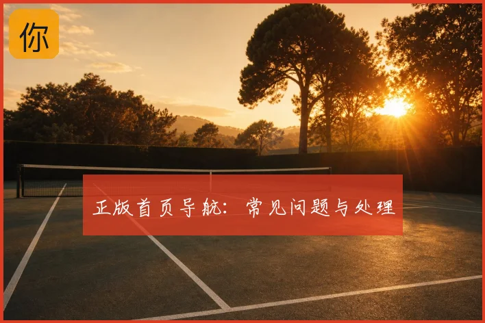 正版首页导航：常见问题与处理